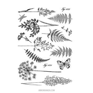 Stempel Ferns & Grasses